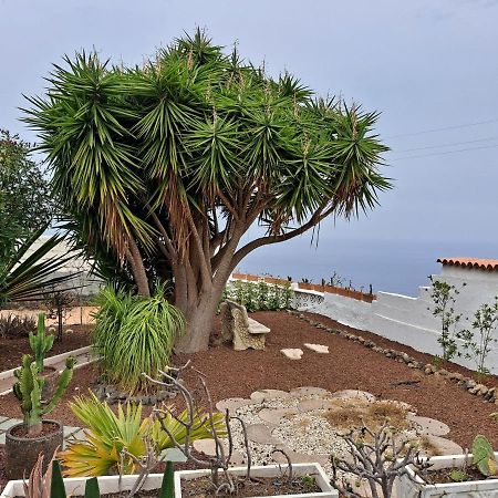 Tenerife Apartment 100M2 Casa De Don Quijote With A Terrace Of 100M2 With A View Of The Ocean And Teide Volcano And A Garden Of 600M2 Icod De Los Vinos Esterno foto